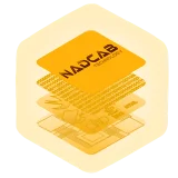 Blockchain Development