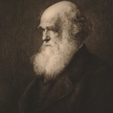 Charles Gill Smith