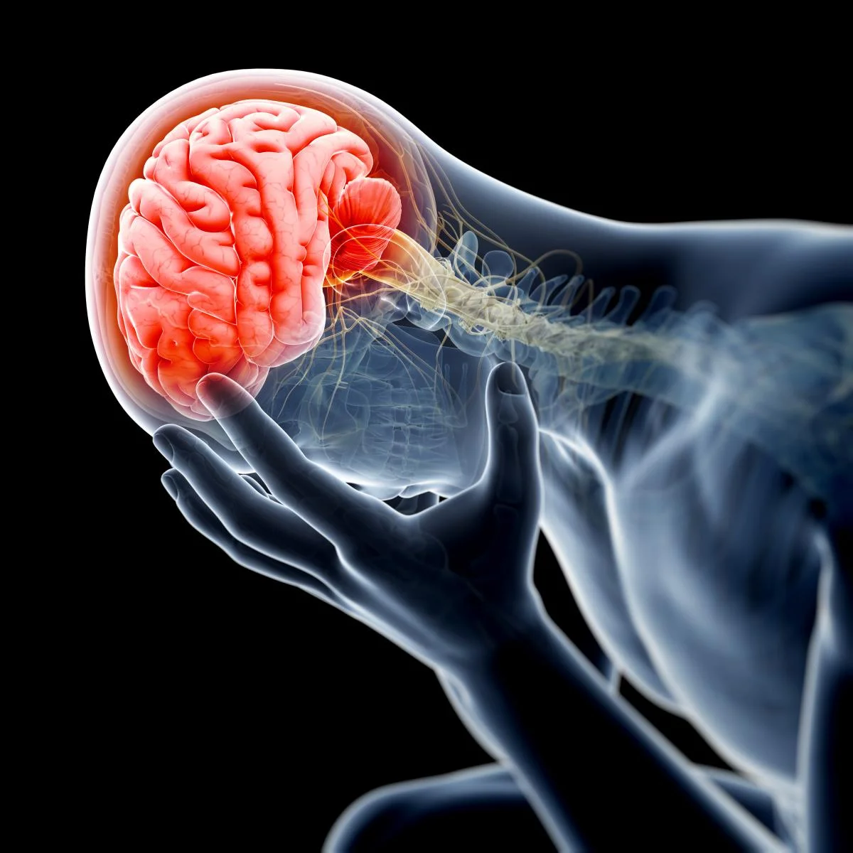 braintrauma